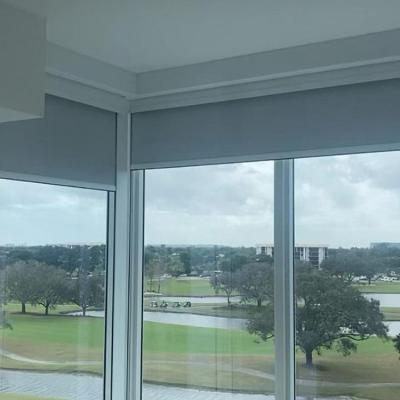 China ripple pleat curtain track Google Alexa wifi shades electric motor smart automatic diy motorized roller blinds for sale