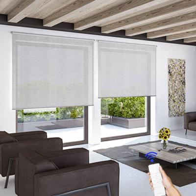 China New Product Waterproof Voice And Curtain Window Blackout Remote Control Motorized Roller Shade For Home And Office for sale