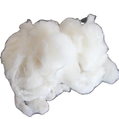 China 100% pure Alxa league goat fiber 100% wool fine cashmere fiber 30-34mm high quality 16.0-16.5mic for sale