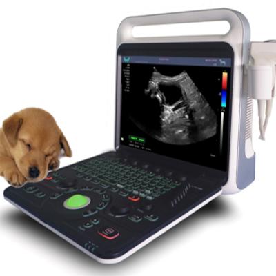 China Portable Handheld Veterinary Metal Color Doppler Ultrasound Device for sale