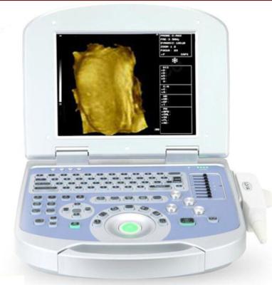 China B Ultrasound Machine For Animal B Doppler B Four Dimensional Ultrasound Machine Portable COLOR Ultrasound Machine For Animal for sale