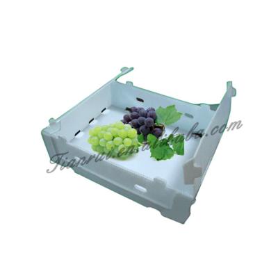 China 8 Kg Capacity Recyclable White Box For Grapes / Insulation Sheet Box for sale