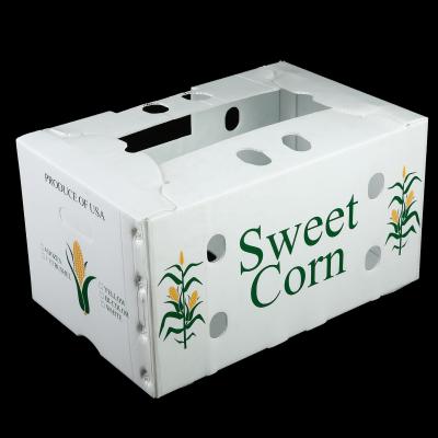 China Solid Box Made in China Customized Plastic Turn Over Box Plastic Corflute Sheet Box Storage Box for sale