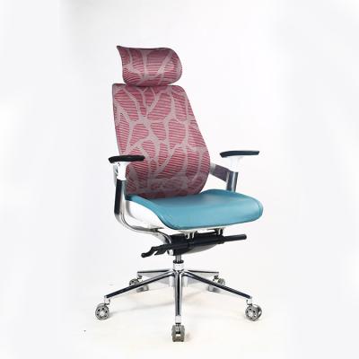 China Ergonomic Mesh Staff Chair Specification Custom Mesh Office Chair High Back Spinning Chair for sale