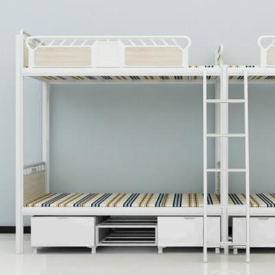 China Modern University Halls Of Residence New Design Student Bunk Bed With Office School Furniture Dorm Bed for sale