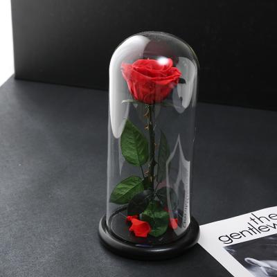 China Gift Wrapping Beauty Led Light Up Artificial Eternal Glitter Rose Flower In Glass For Mothers Day Gift Glass for sale