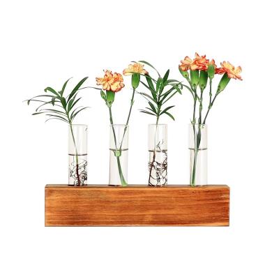 China Contemporary Hot Selling Test Tube Vase With Low Clear Glass Vase Home Decor Plant Hydroponic Vase for sale