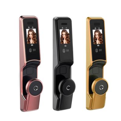 China Apartment Fingerprint Palmprint RF Card Password Face ID Recognition Smart Bronze Door Lock for sale