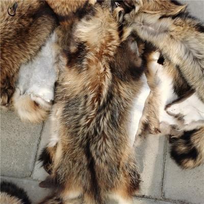 China Automatic Upholstery Wholesale Cheap Price Natural Raccoon Fur Skins Real Fur Skin for sale