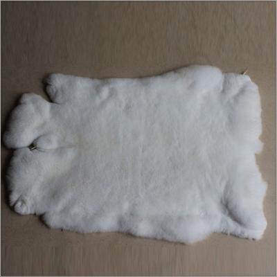 China ALICEFUR wholesale cheap price soft and fluffy rabbit fur white color rex rabbit skin for sale