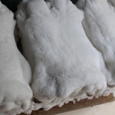 China Auto Upholstery Rex Rabbit Fur Skins Natural/Rex Rabbit Fur Skins Wholesale for sale