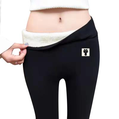 China Fleece Lined 2021 New Arrival Stylish Sherpa Lined Thick Warm Fitness Black Gray Leggings for sale