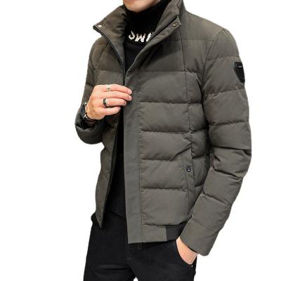 China 2021 New Arrival Men's Polyester Anti-wrinkle Down Jacket Fabric Light Weight Down Jacket Padded for sale