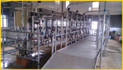 China Milk Suction For Goat KLN Herringbone Type Glass Jar Milking Parlor For Goat And Sheep for sale