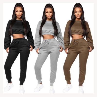 China Woolen Tracksuits Winter Solid Color QUICK DRY Wholesale Pile Pants Plus Size Long Sleeve Jogging Casual Women's Two Piece Set for sale