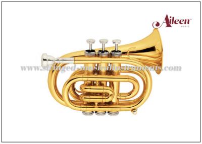 China Mini trompeta de cobre amarillo del bolsillo de la llave del Bb de los instrumentos musicales/trompeta modelo HTP8504G del estudiante en venta