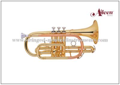 China Messingmusikinstrumente, y-Art Messinglack Bb-Schlüssel-Edelstahl-China-Kornett (CN8711G) zu verkaufen