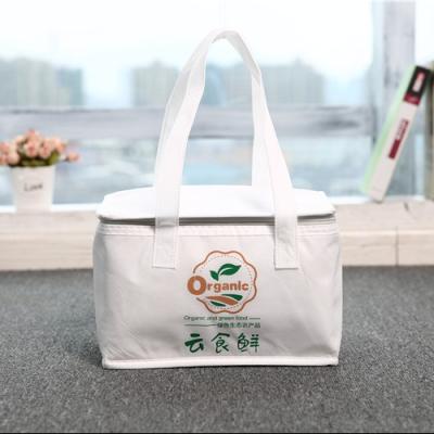 China Wholesale Recyclable Outdoor Promotional Nonwoven Insulated Picnic Cooler Bag for sale