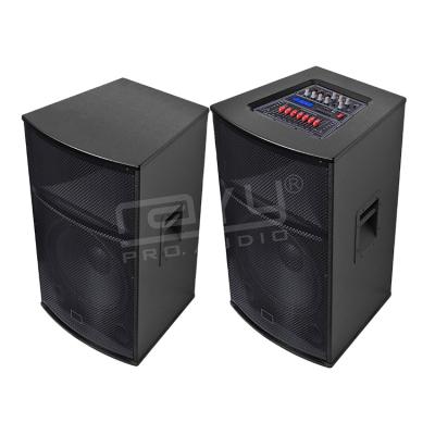 China Show Video Info Hot Sale Factory 15 Inch Direct DJ Powered Speaker Rayyoung Active Monitor Speaker for sale