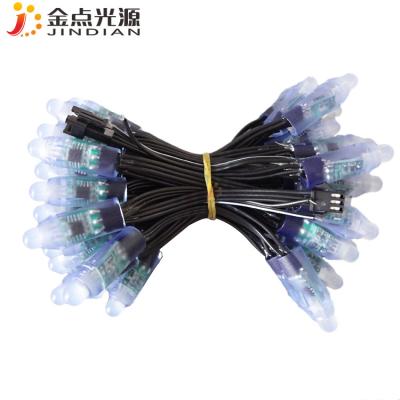 China Channel Letter Factory Direct Sale Advertising Led Black Pixel WS2811 12mm Christmas Decoration RGB Pixel LED Light for sale