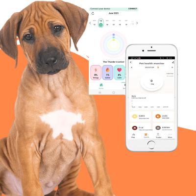 China Tuya APP Mini Pet Sleep Step Calories Smart Pet Activity Tracker Bluetooth Wifi Monitor Pet Health Tracker Waterproof Collar for sale