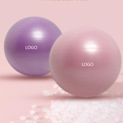 China Stability Durable Fitness Balance Exercise Ball Gym PVC Anti-burst Yoga Ball 55CM Thick 55CM With Compressor for sale