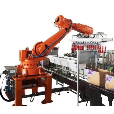 China APPAREL Fashion Design Cheap Price Package Drinks To Carton Box Robot Arm Machine for sale