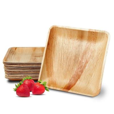 China Square Disposable Palm Leaf Disposable Bamboo Compostable Dishes Export Quality Amazon Warehouse Hotseller USA for sale