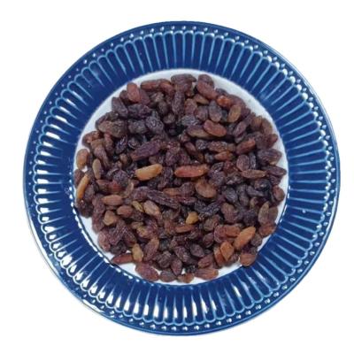 China Good Quality Dried Snack Dried Fruit Seedless Jumbo Size Red Raisins for sale