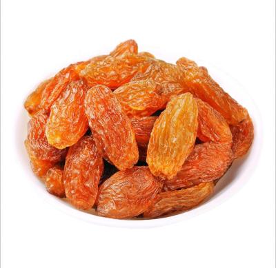 China Original Turpan Dried Fruit High Quality Jumbo Size Dried Red Sultana Raisins for sale