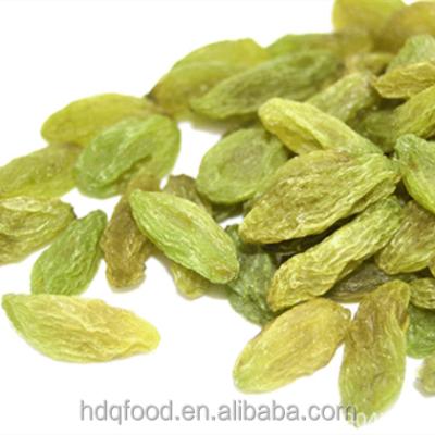 China Quite Natural Dried Xiangfei Green Super Jumbo Raisins for sale