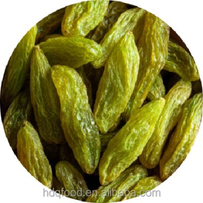 China Special Grade Xiangfei Jumbo Princess Green Dried Grapes Fruits for sale