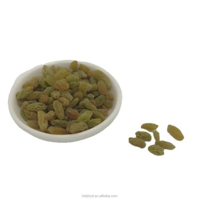 China High Quality Dried Jumbo Size Green Sultanine Raisins 500g/bag for sale