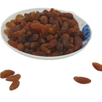 China Bulk Wholesale Dried Fruits Natural Mixed Size Raisins Red Raisins From China for sale