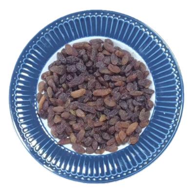 China Bulk Wholesale Dry Original China Dried Fruits Natural Raisins Red Raisins for sale