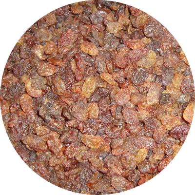 China LOW PRICE FOR INDUSTRIAL GRADE RAISINS GRADE B LOWER QUALITY RAISINS FOR INDUSTRY for sale