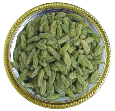 China Hot Dried Bulk Sultana Green Raisins Bulk Dried Green Raisins for sale