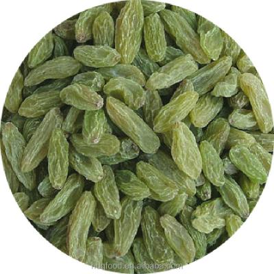 China New Crop 2021 China Origin Dried Small Jumbo Medium Mixed Size Of Green Raisins For Healthy Snack for sale