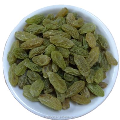 China New dry culture bulk green raisins for wholesale for sale