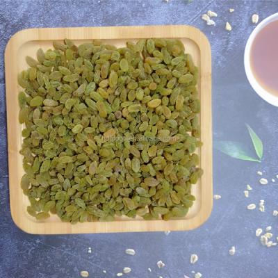 China Original Xinjiang quality 50% medium size EDIBLE green jumbo raisins 90% green 70% green for sale