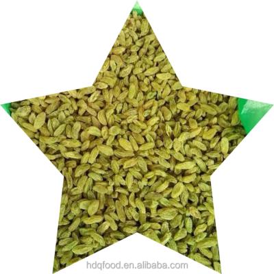 China Original Xinjiang quality 50% medium size EDIBLE green jumbo raisins 90% green 70% green for sale