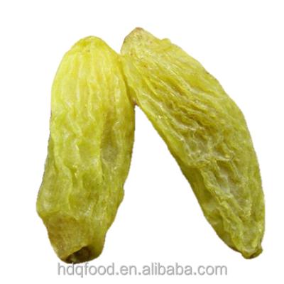 China Original Xinjiang quality 50% medium size EDIBLE green jumbo raisins 90% green 70% green for sale