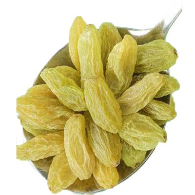 China Medium Jumbo Size 90% Green 70% Green Green EDIBLE Quality 50% Green Raisins Xinjiang Origin for sale