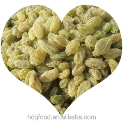 China Medium Jumbo Size 90% Green 70% Green Green EDIBLE Quality 50% Green Raisins Xinjiang Origin for sale