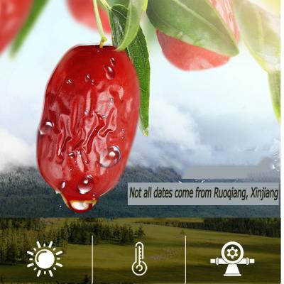 China China Dried Jujube Dates Dry Red Hot Sales Xinjiang Hot Candy for sale