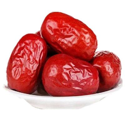 China Xinjiang Dried Dates Dried Sweet Dried Red Jujube Dried Dates for sale