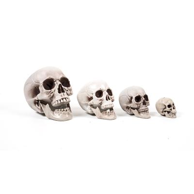 China China Supplier Plastic Props Skull Human Model Halloween Scene Decoration for sale