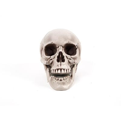 China Good Quality And Price Plastic Human Model Halloween Scene Props Skull Decoration for sale