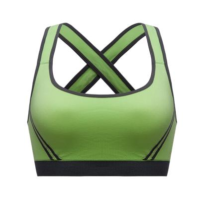 China Breathable Seamless Sports Bra Hot Selling High Impact Superior Fitness for sale