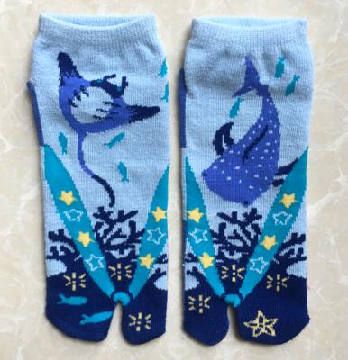 China Breathable two fingers toe socks knit techniques female Japanese wind tabi two toe choking socks for sale